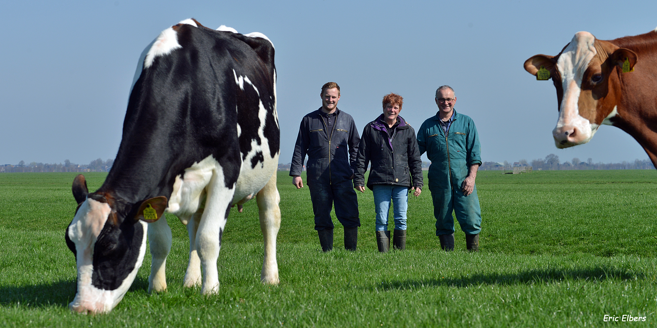 Stef, Arie en Truus met hun veestapel