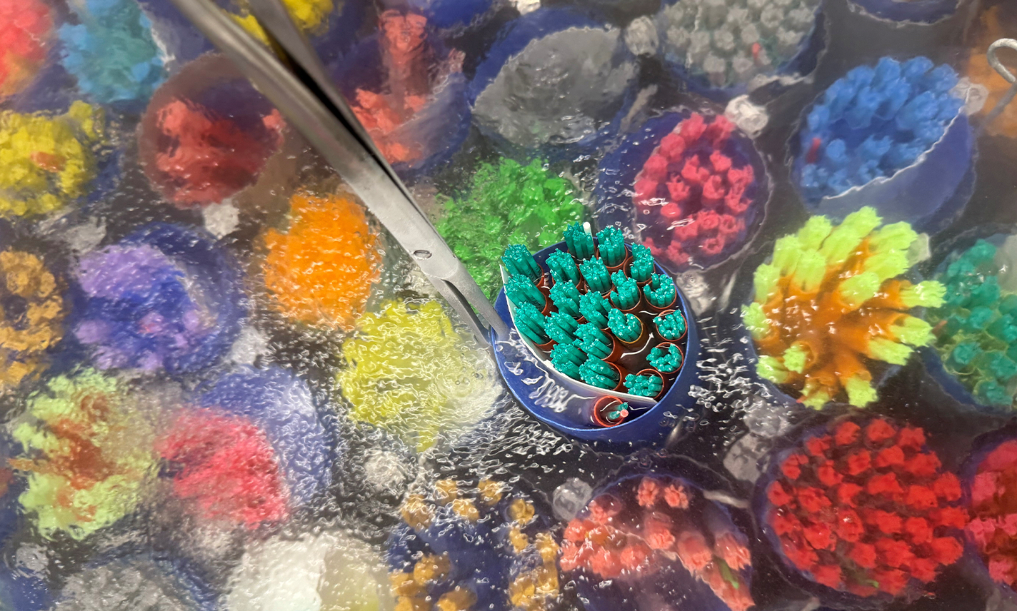 Zwei erfolgreiche Lehrgänge für Eigenbestandsbesamer