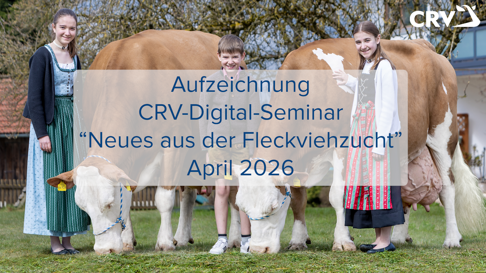 Aufzeichnung CRV-Digital-Seminar "Neues aus der Fleckviehzucht" April 2026