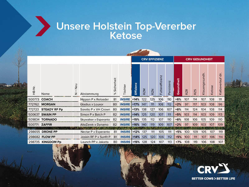 Ketose genetisch verbessern