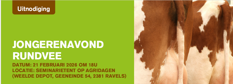 Jongerenavond Rundvee Ravels