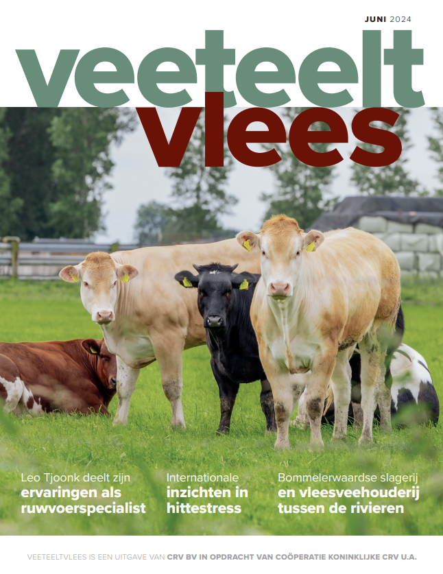 Veeteelt Vlees cover