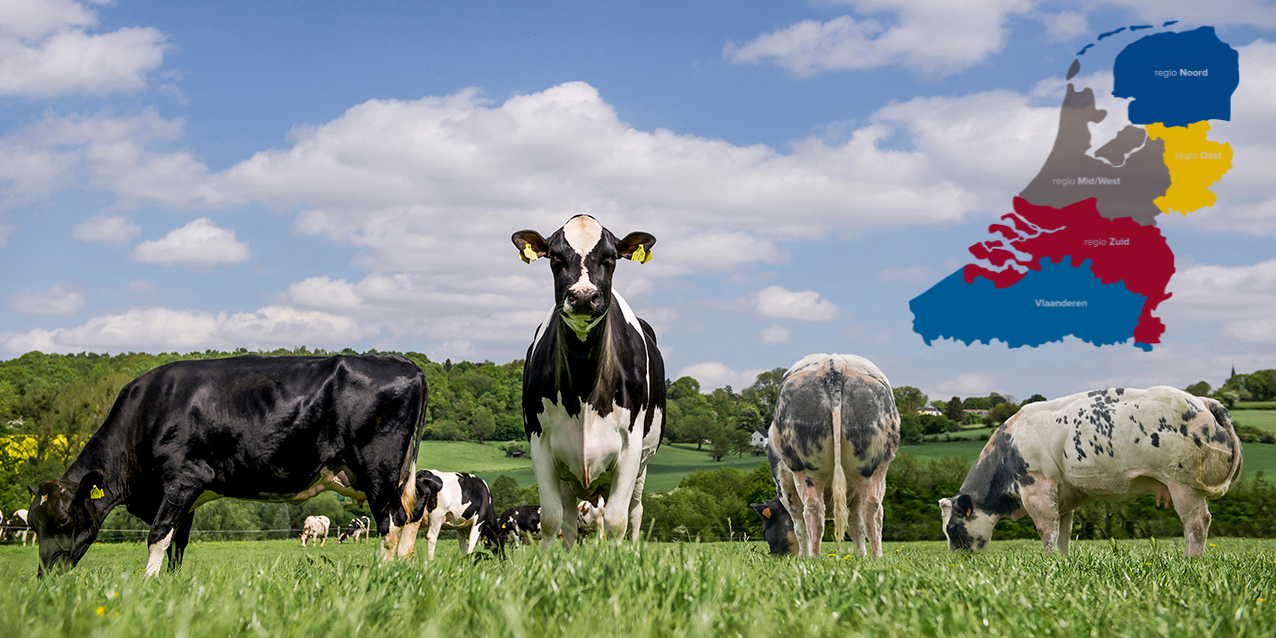 Verkiezingen regiobestuur en ledenraad, voorjaar 2026