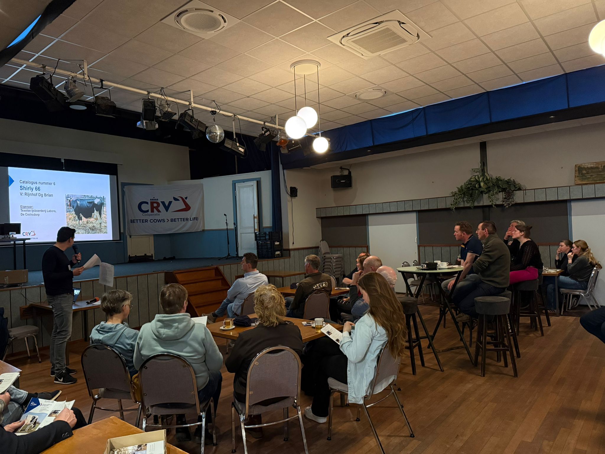 Succesvolle terugkeer Beste Boerenkoe Verkiezing op Texel