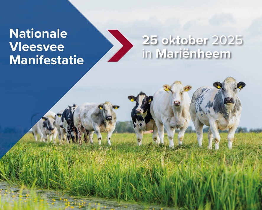 Nationale Vleesvee Manifestatie 2025
