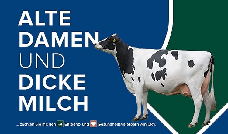 Alte Damen und dicke Milch