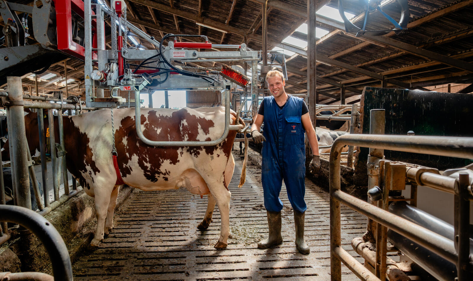 Hoe Bart Hettelaar klauwgezondheid stap voor stap verbetert