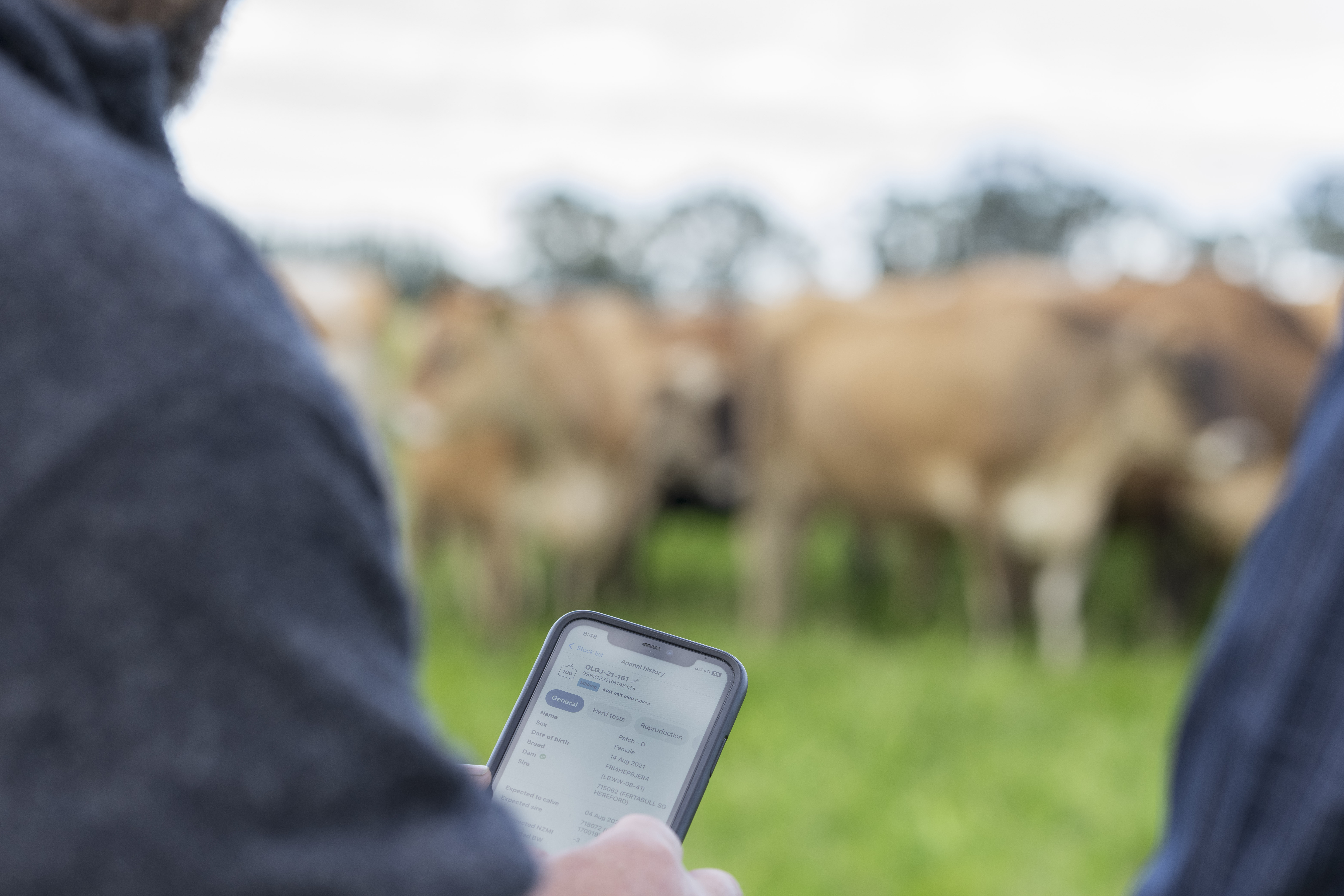 Record it once: myHERD now connects with Halter