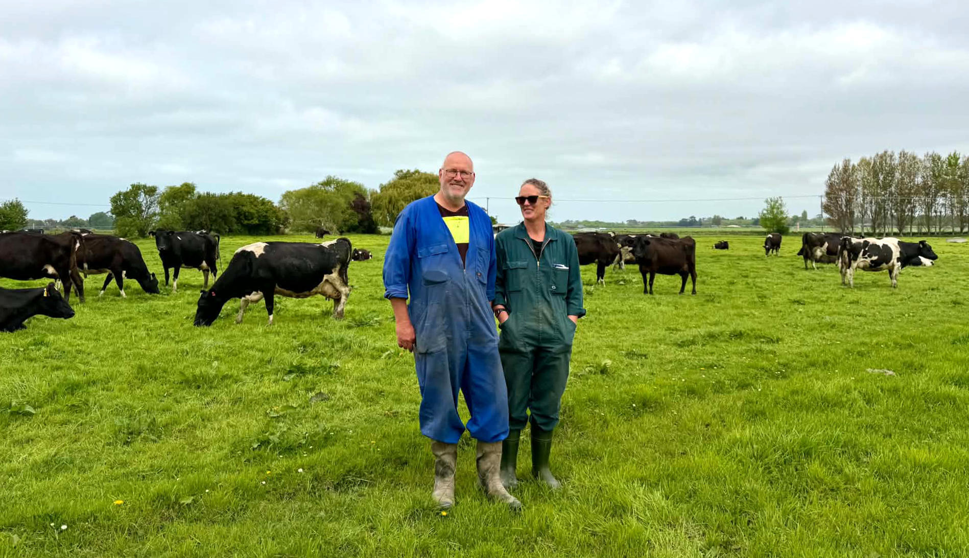 myHERD keeps it simple for Canterbury dairy farmers