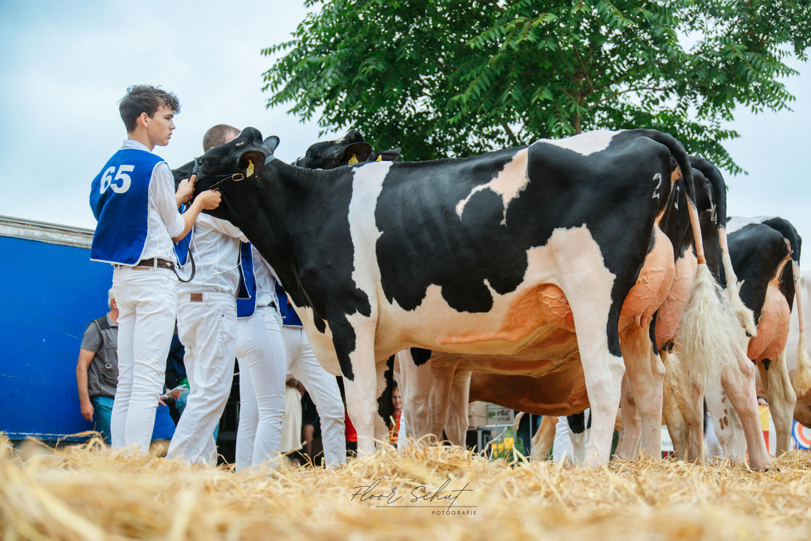 Invloedrijke donoren imponeren ook in de keuringsring