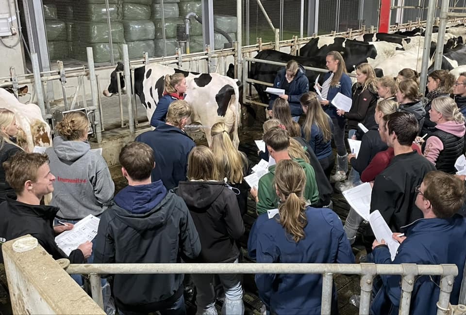 Instructielessen Veebeoordelen Young CRV