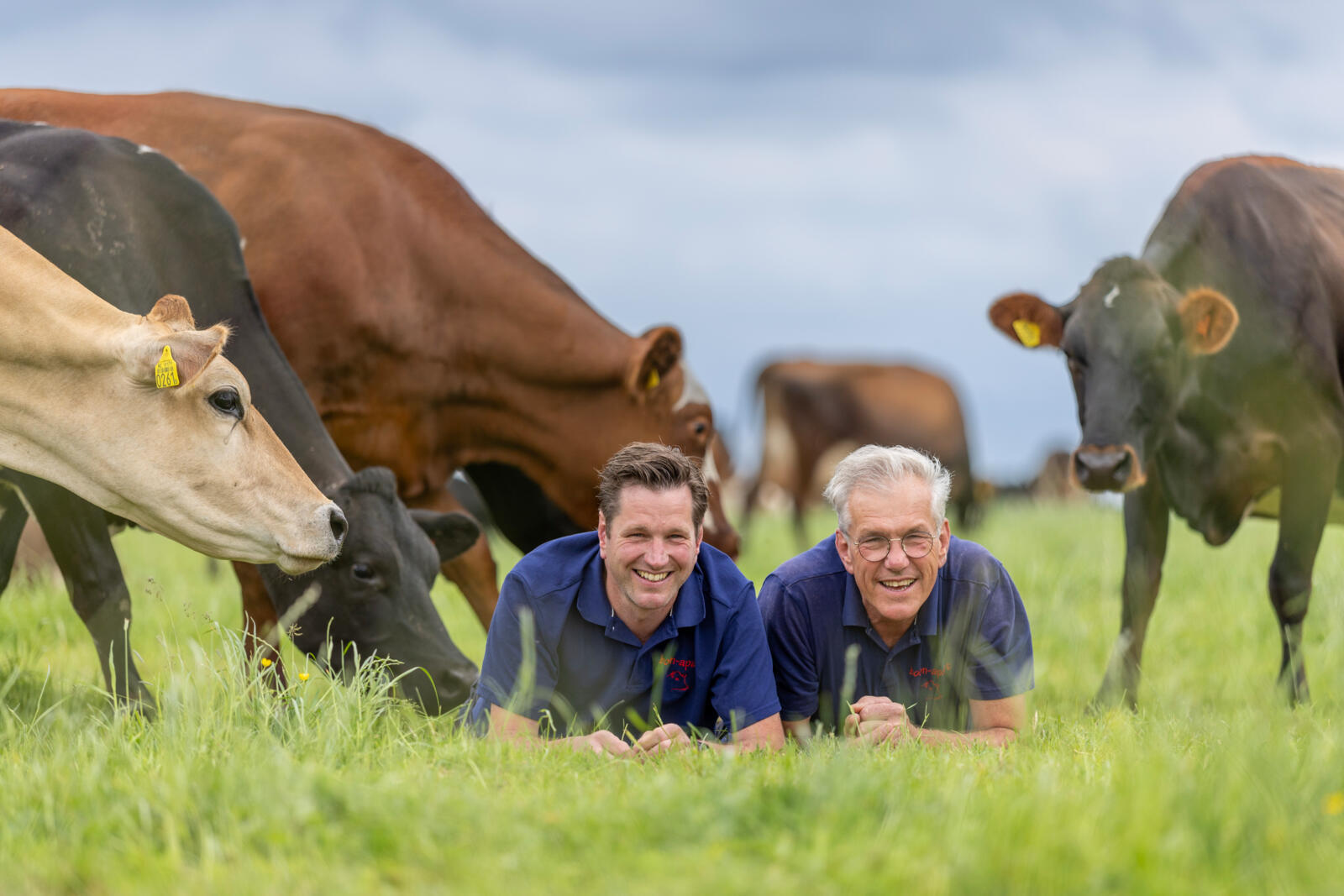 The Boon Family wants to  produce milk from grass