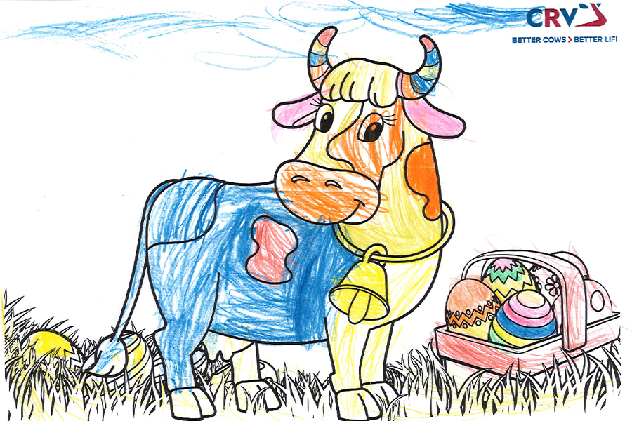 Anna Lichtenauer, 4