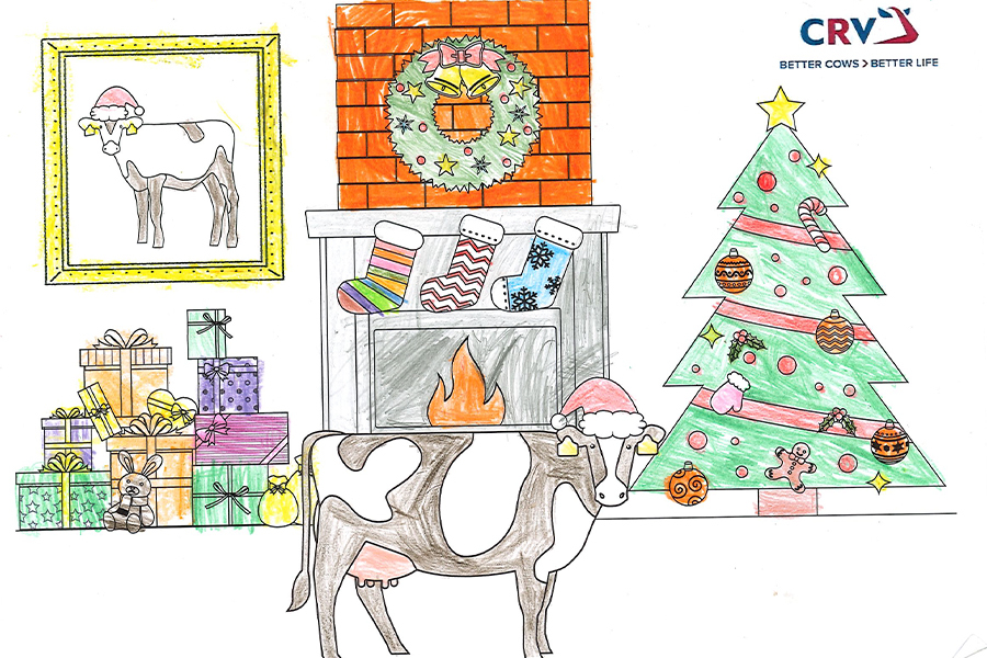 Anna Schuster, 9