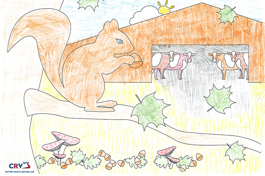 Anton Barthuber, 10