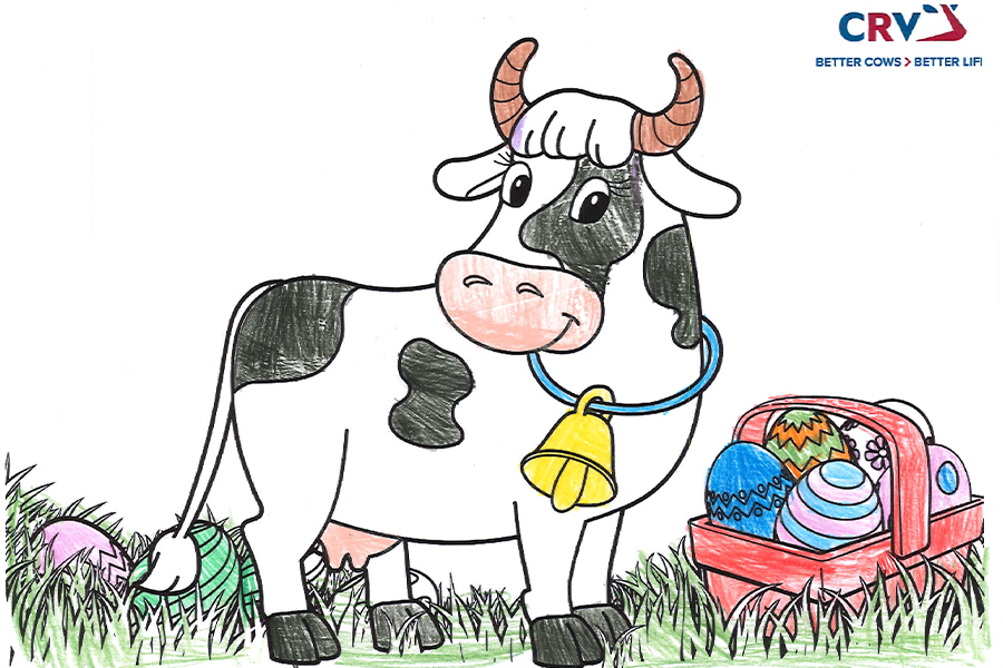 Antonia Stiegler, 8