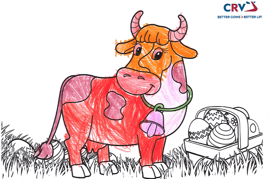Bernadette Seidinger, 5