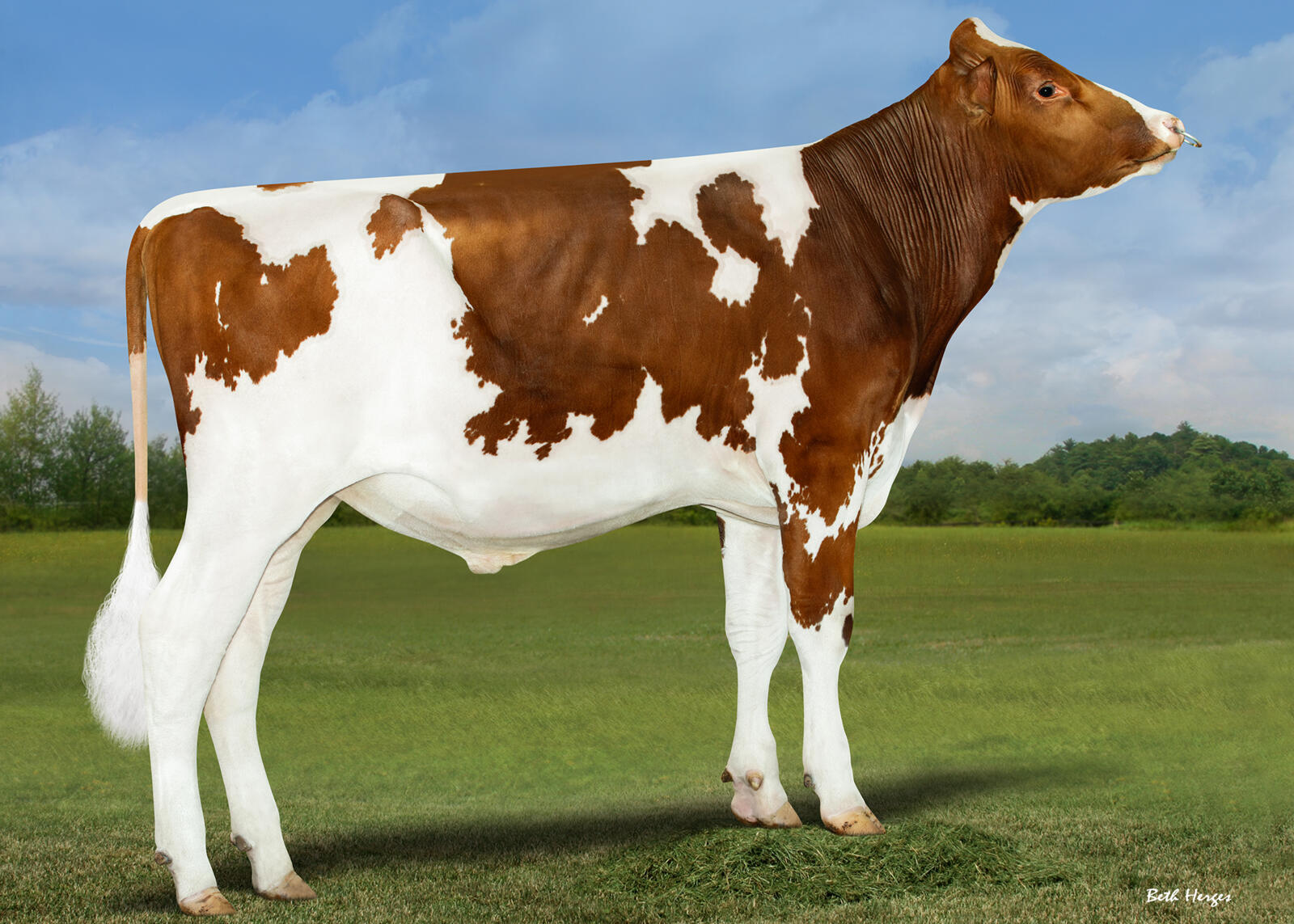 TLU Mo Reamer PP (Mo PP x Remover PP)