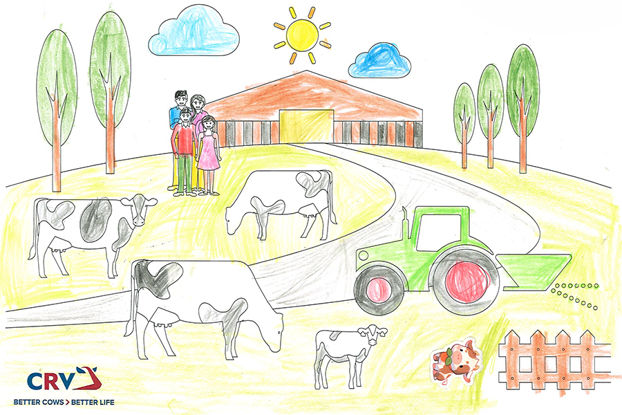 Johanna Koller, 7