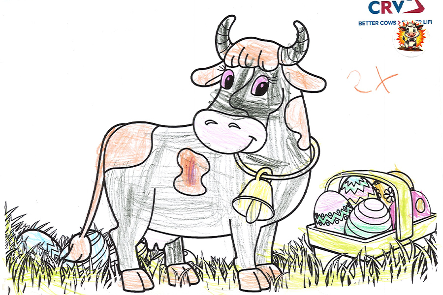 Josefine Wolf, 5, 2tes Bild