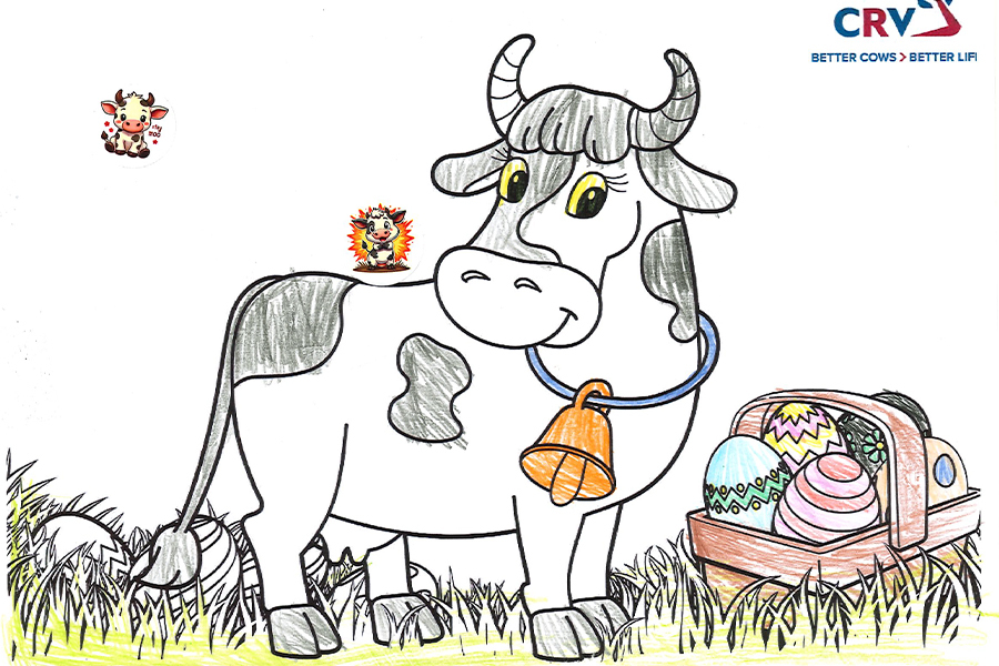 Kathi Hauder, 10