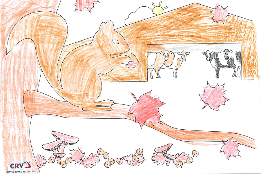 Korbinian Schechner, 7