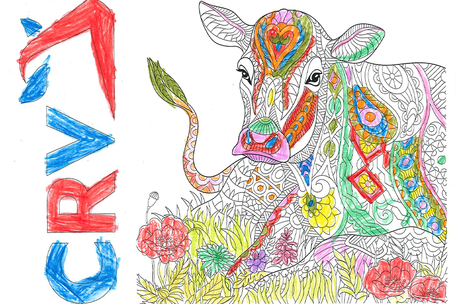 Severin Schechner, 9