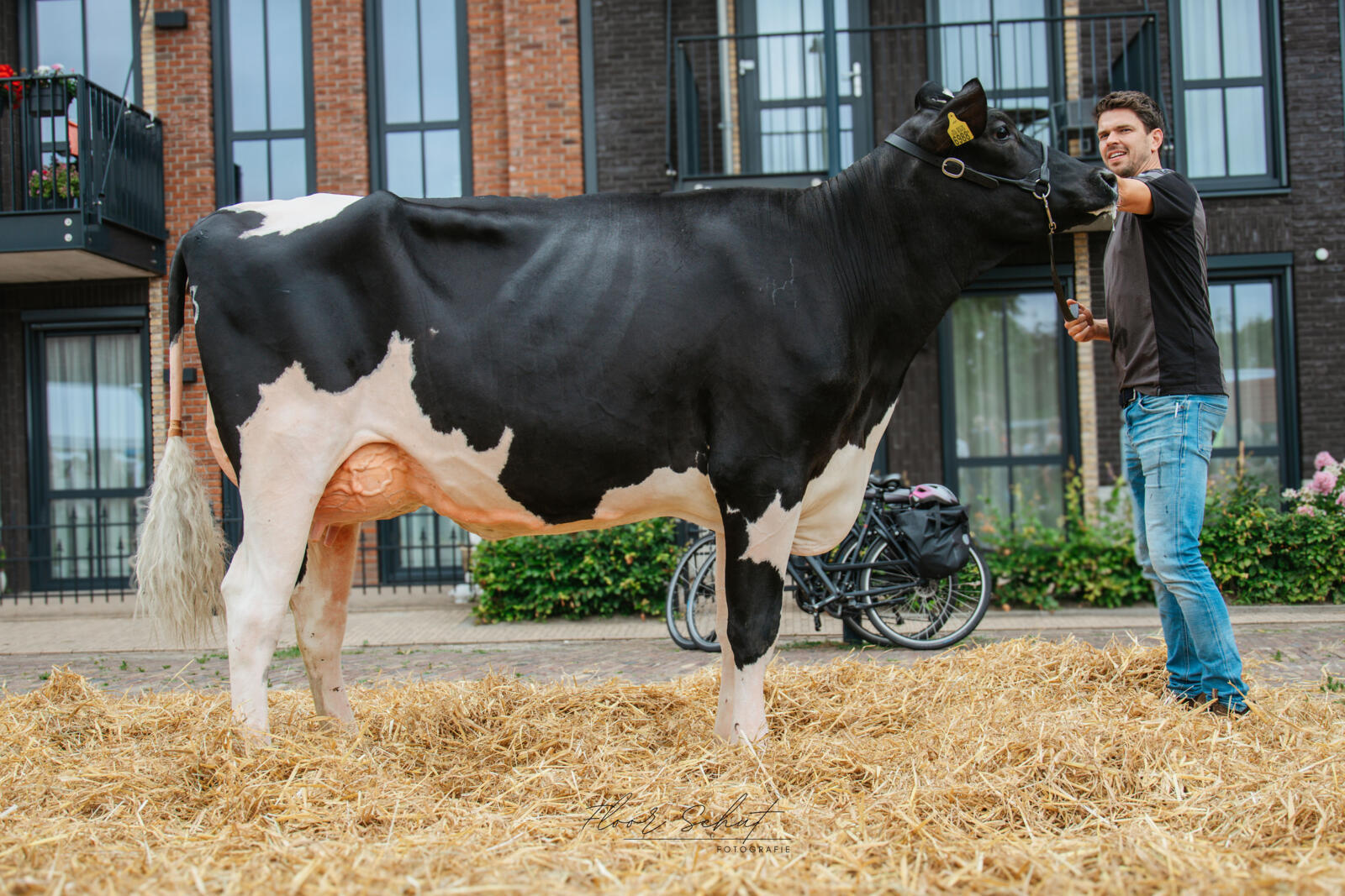Delta Surfer P (Brandung P x Simon P)