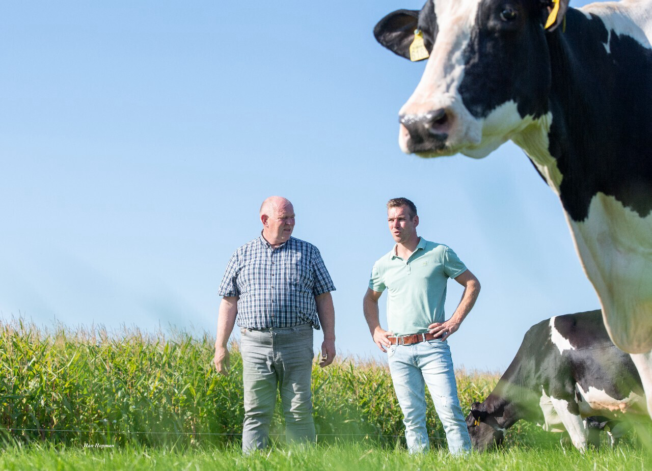 Melkveehouders Ben en Jos Knoef