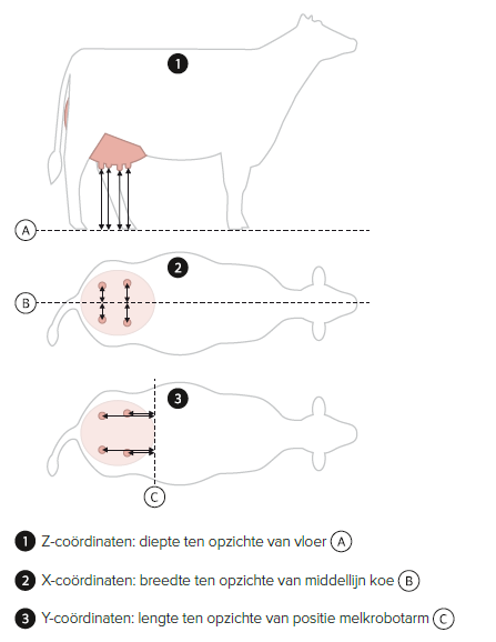 Speencoördinaten koeien