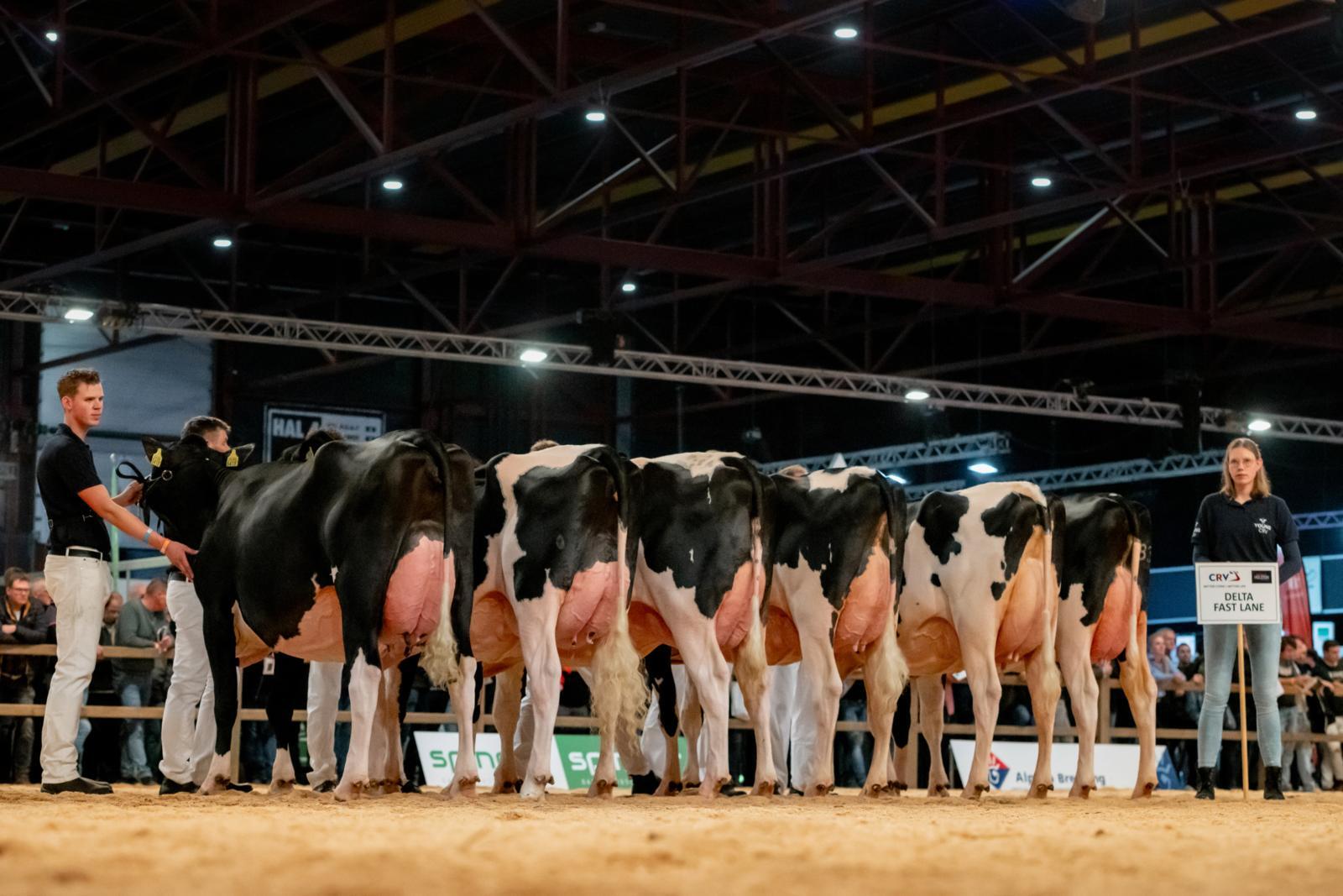 Dochtergroep Fast Lane maakt indruk op de HHH show