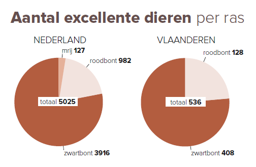 Aantal excellente dieren per ras