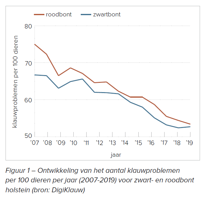 Figuur 1 – Ontwikkeling van het aantal klauwproblemen per 100 dieren per jaar (2007-2019) voor zwart- en roodbont holstein (bron: DigiKlauw)