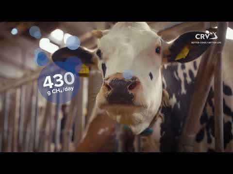 Methane video