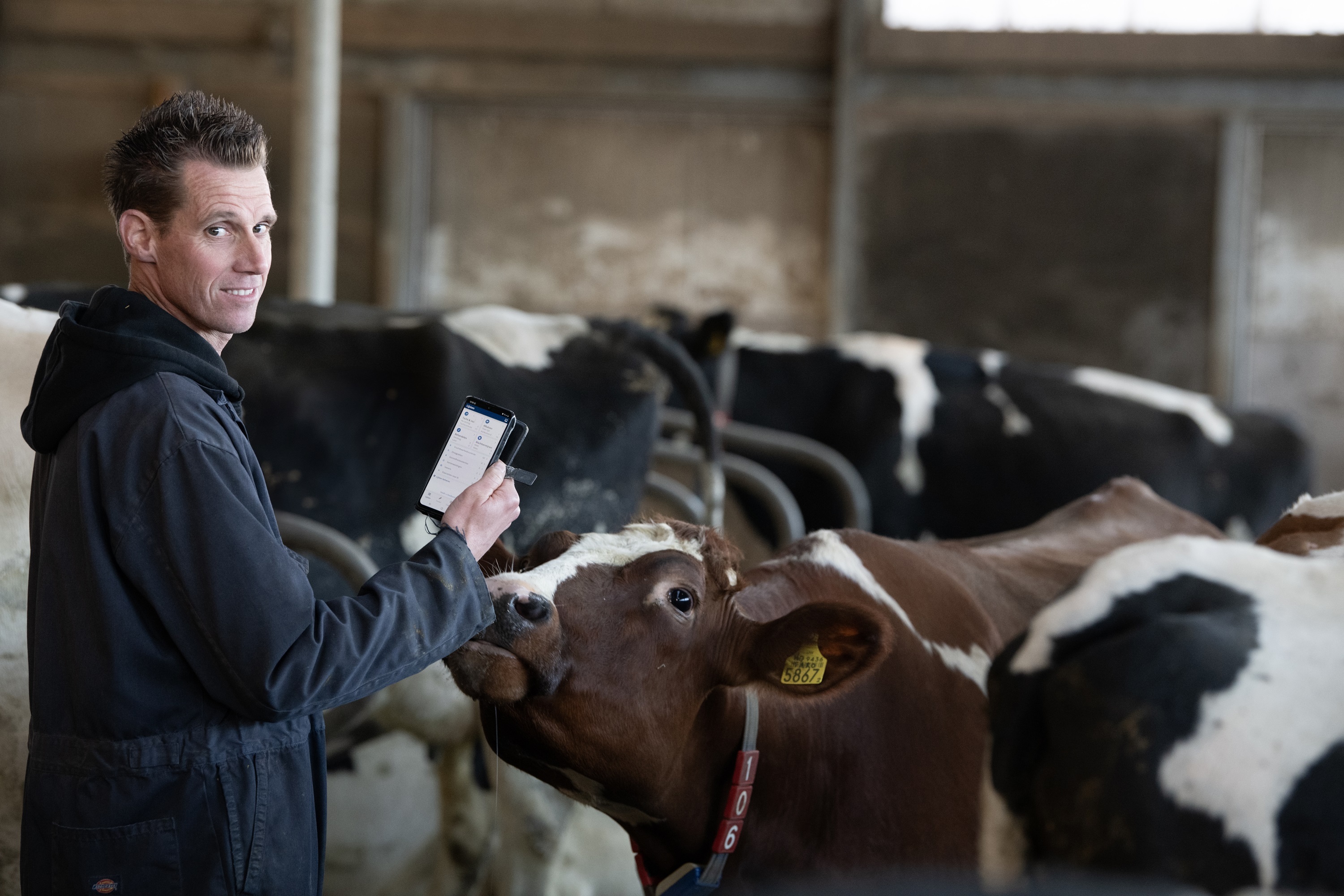 Alle info over mijn dieren haal ik gemakkelijk uit CRV Dier