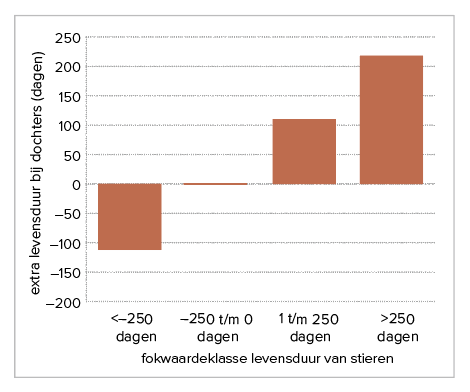 Figuur 5 – Gemiddelde extra levensduur bij dochters in relatie tot de fokwaardeklasse levensduur van hun vader (basis zijn stieren met fokwaarde van –250 tot 0 dagen levensduur, bron: CRV)