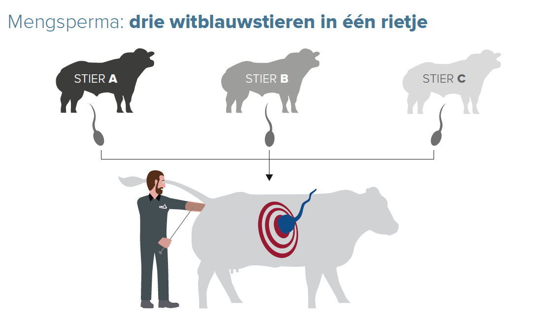 Veldproef bevestigt: mengsperma is BullsEye