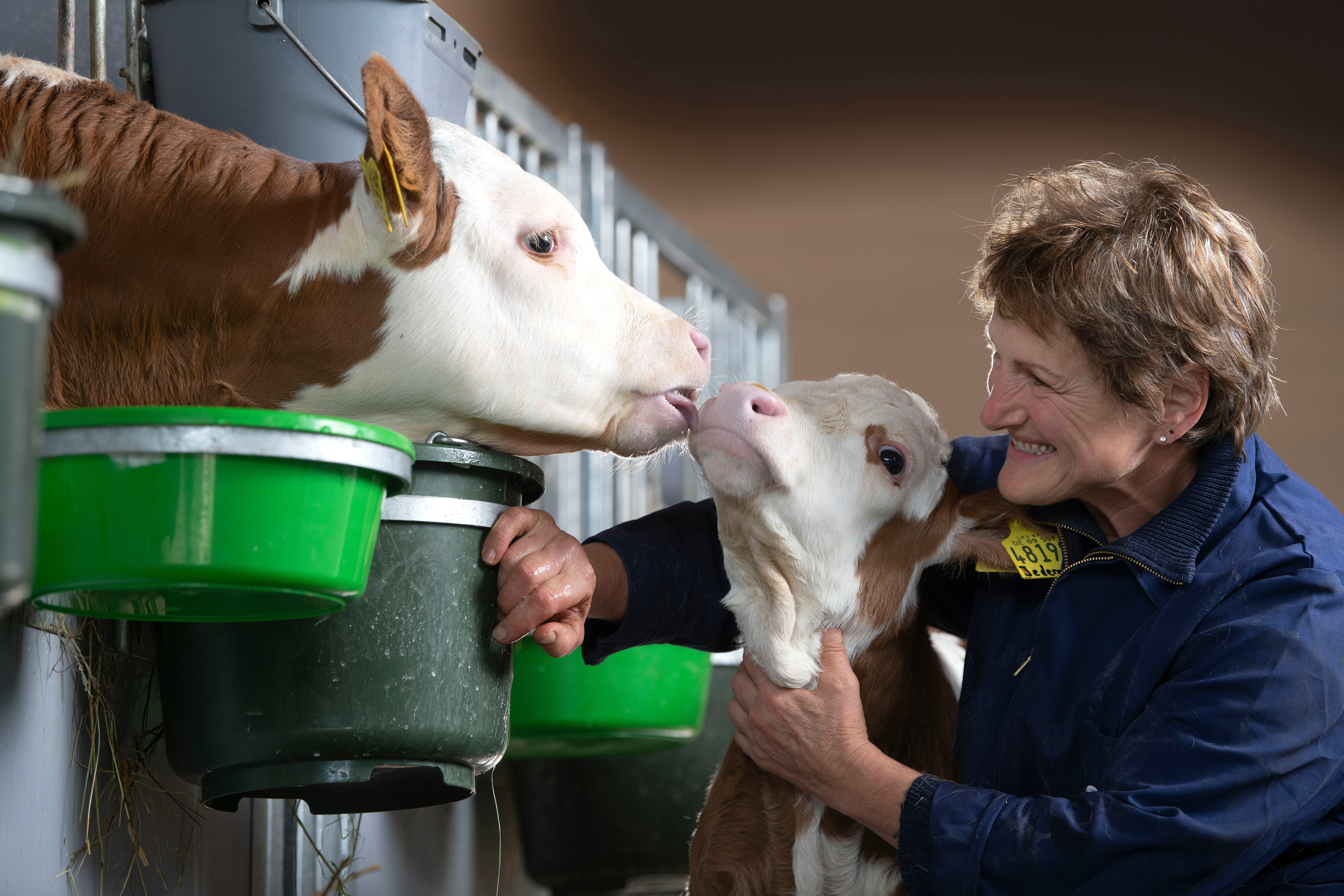 FleckviehDeutschland