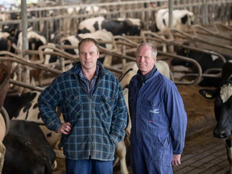 Consequent gebruik van dikke melkstieren leggen een stevige basis