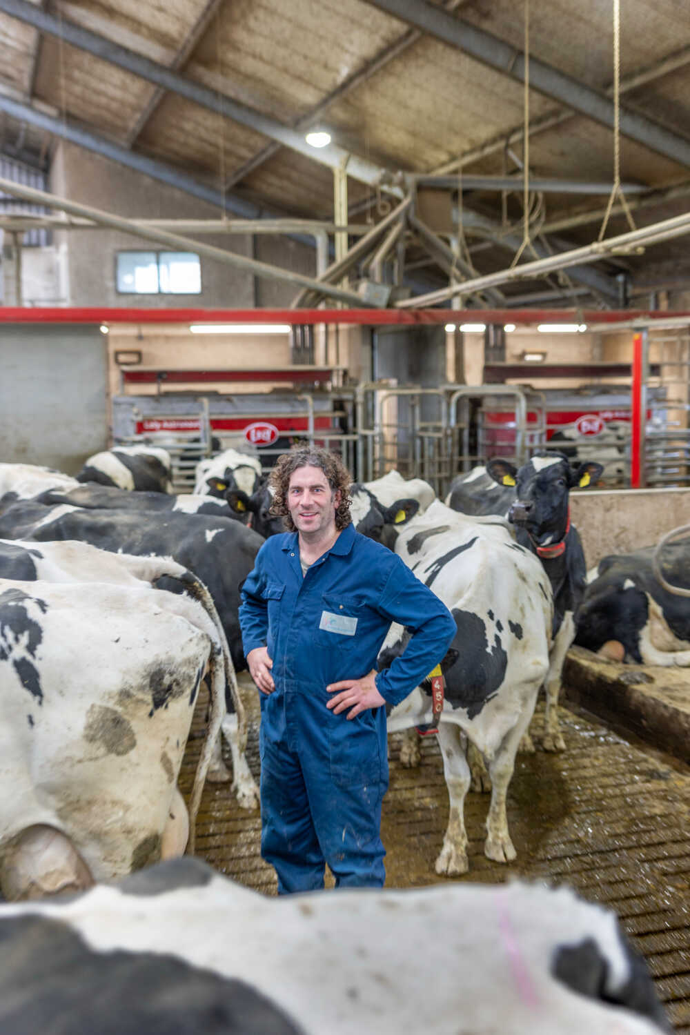Great feet and legs for robotic milking and grazing