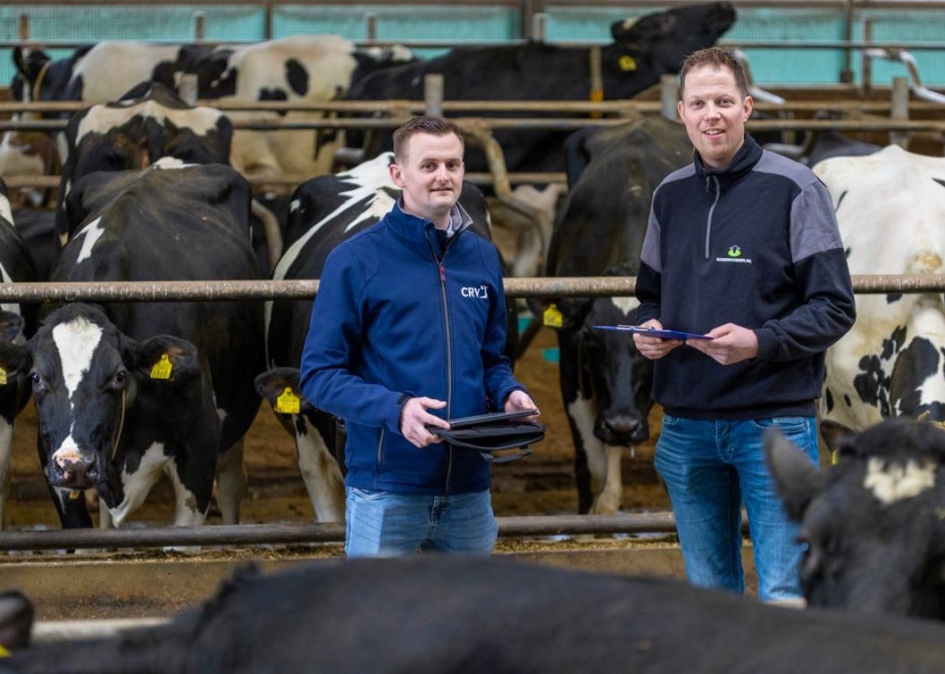 ‘Een kalf met slechte merkerfokwaarden wordt nooit een topkoe’