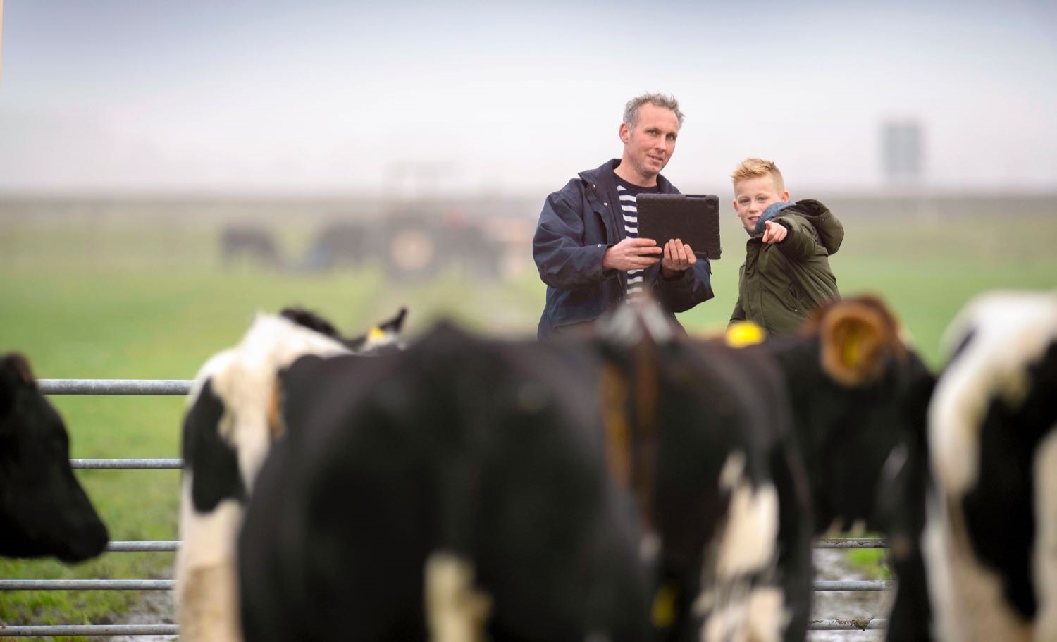 Webinar CRV FosfaatPlanner: laat u bijpraten over de nieuwste aanpassingen