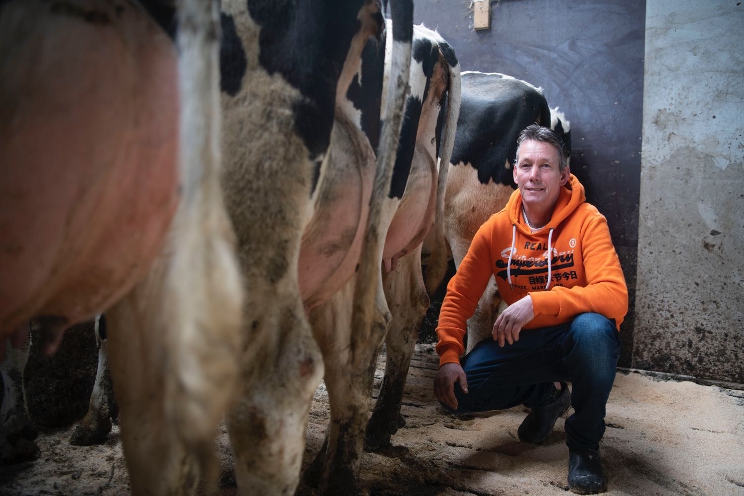 Melkveehouder Harmen Bouma uit Hidaard