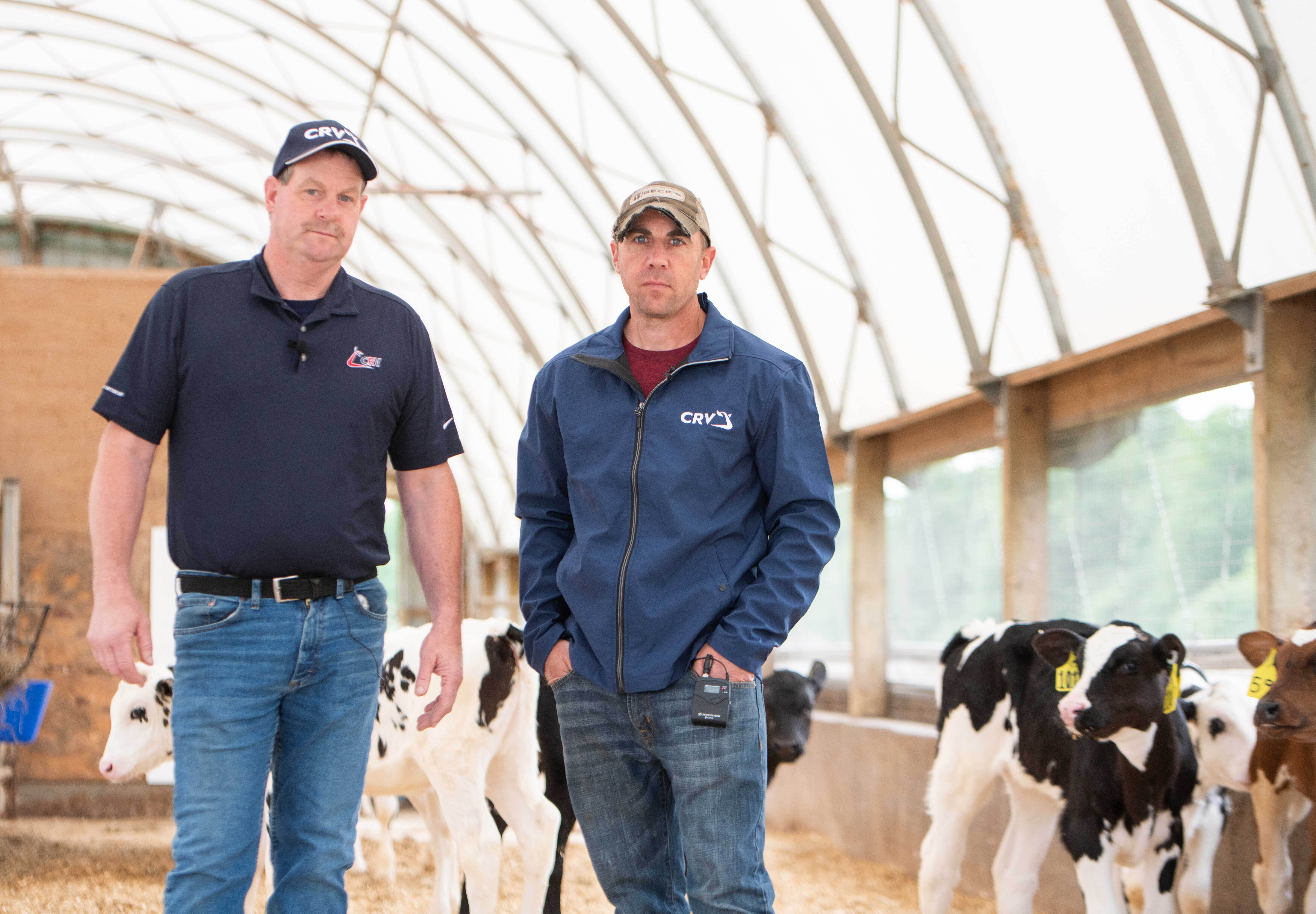 Producer and CRV representative in barn