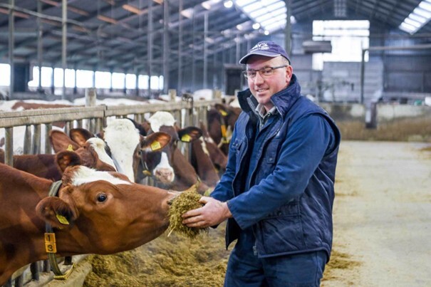 Dairy Farmer with feed and a cow