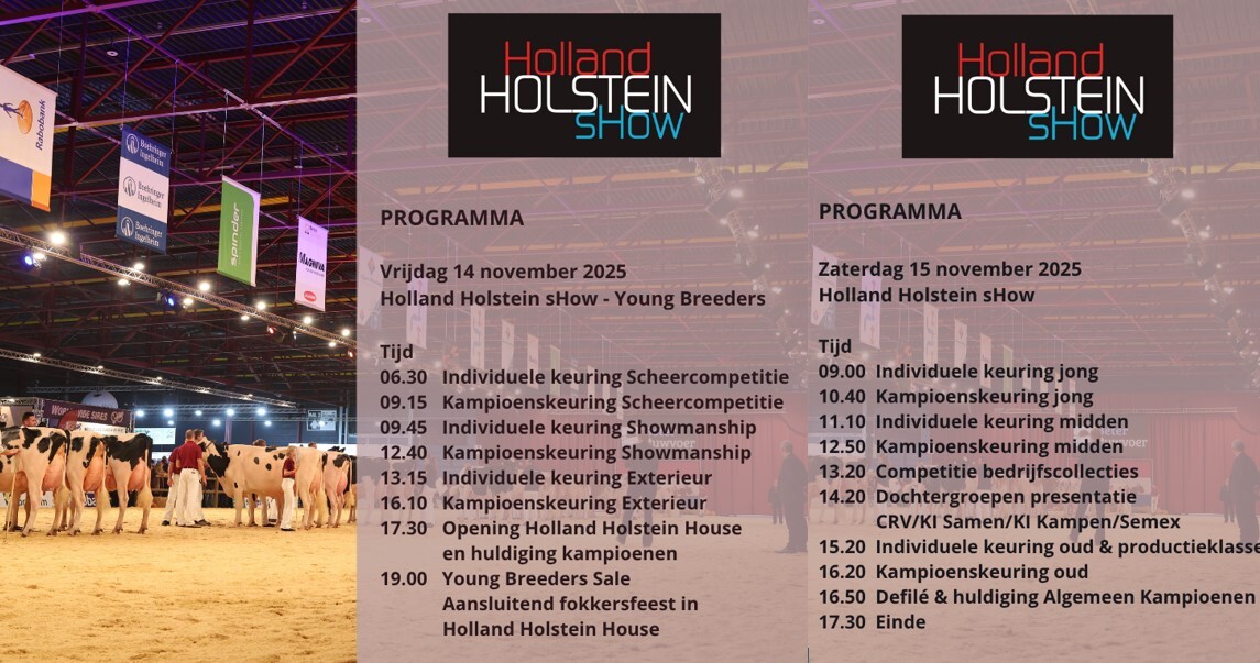 Programma HHH-show