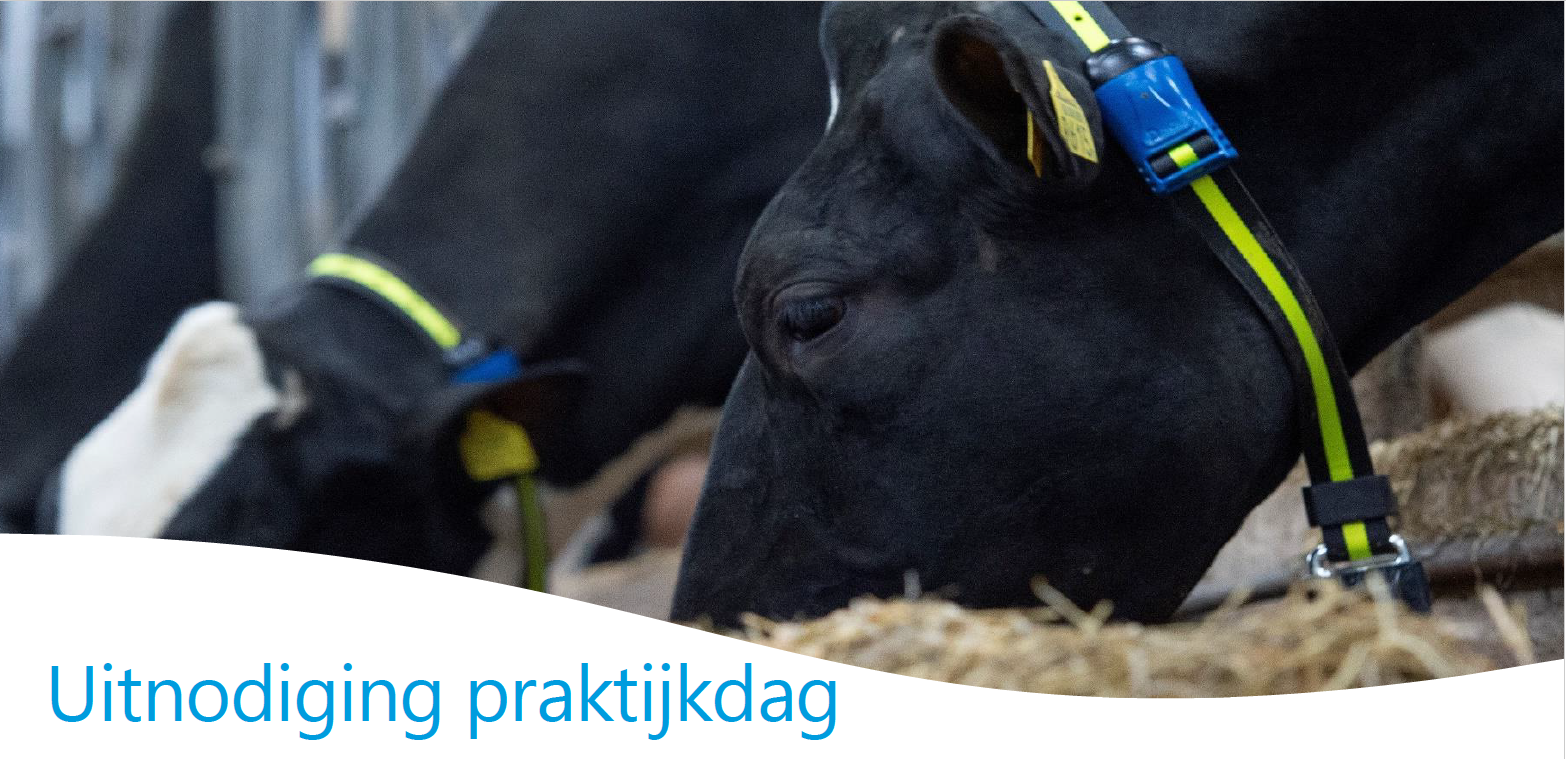 Uitnodiging praktijkdag