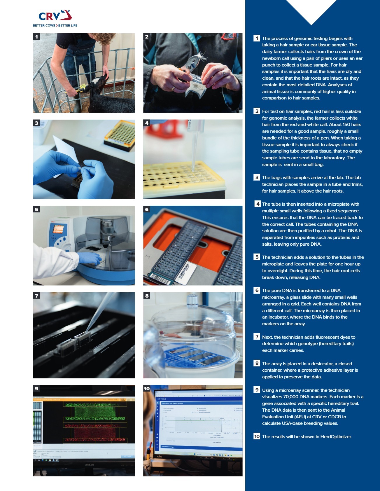 Step-by-step plan genomic testing