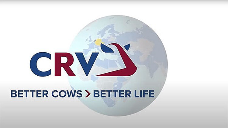 CRV: mit neuem Logo