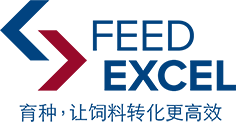 FeedExcel -经过验证的盈利途径